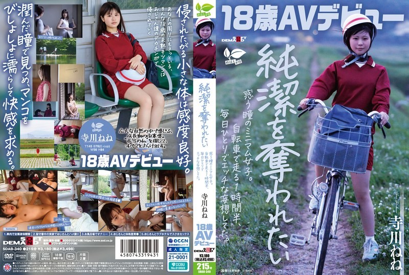 セクキャバで会えるAV女優嬢情報【寺川ねね】